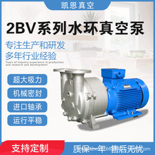 2BV水环式真空泵工业用抽真空机负压泵抽气小型防爆