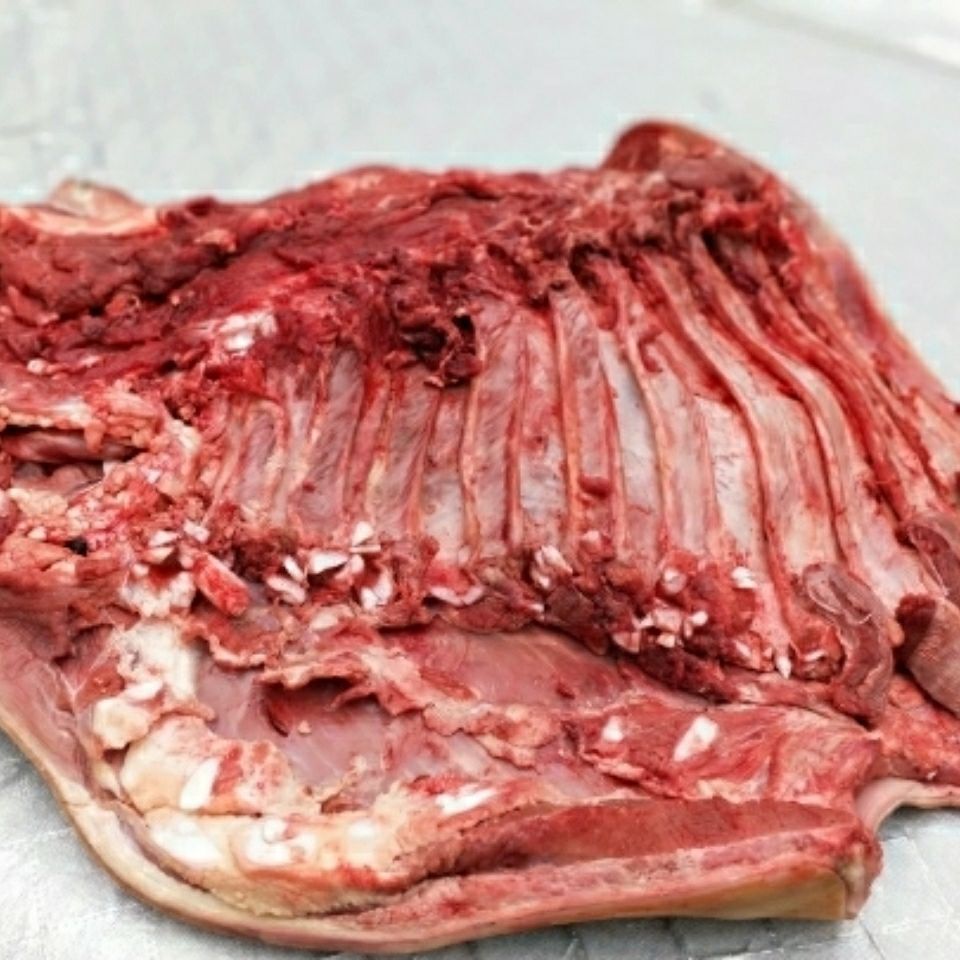 贵州散养现杀土黄牛肉新鲜带皮小黄牛勒条肉带皮牛腩肉5斤装包邮