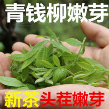 青钱柳茶嫩芽尖 新茶精选张家界金钱柳 清金钱柳正品降无糖新茶