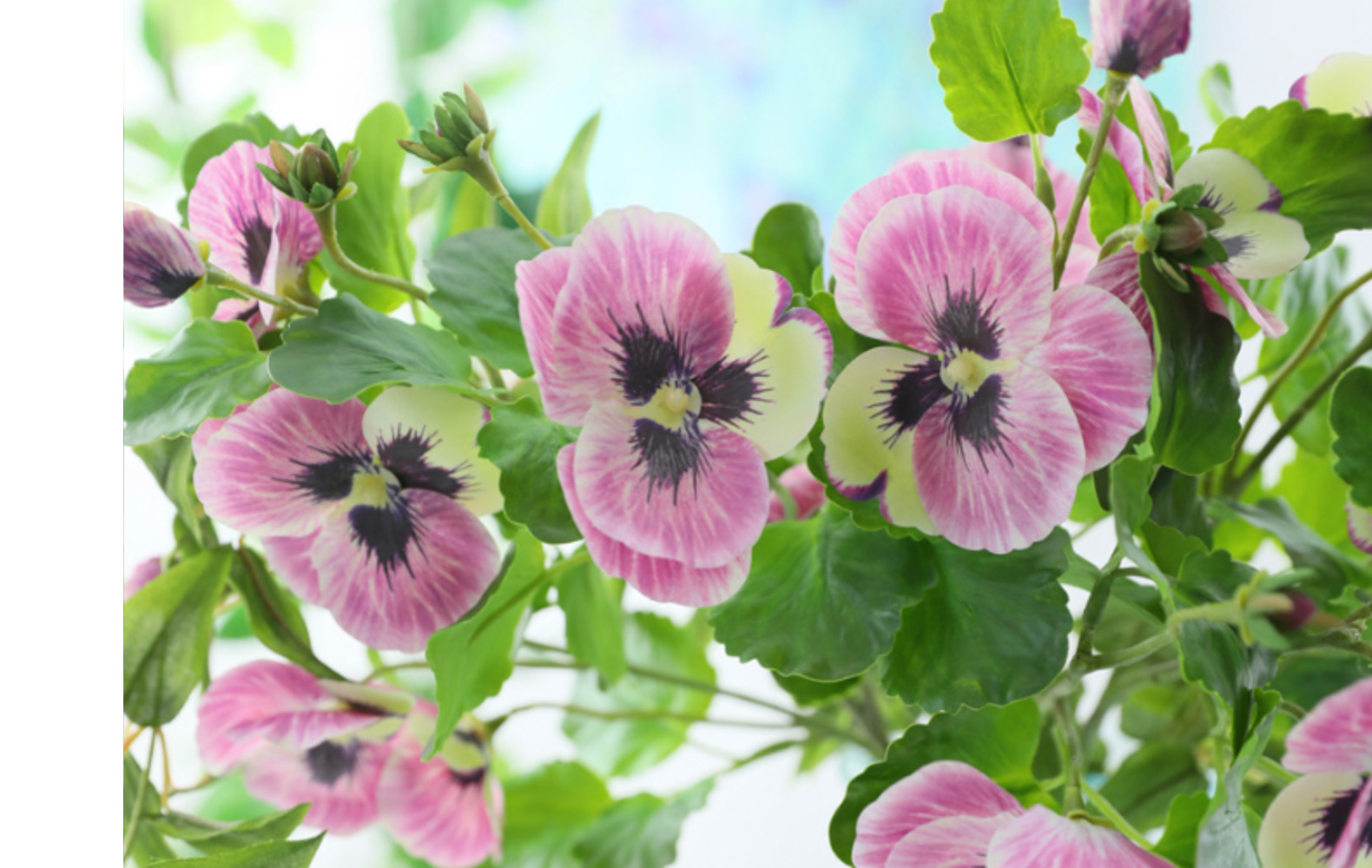 仿真花3d胶布三色堇假花家居装饰盆栽种植高中档花材 蝴蝶兰