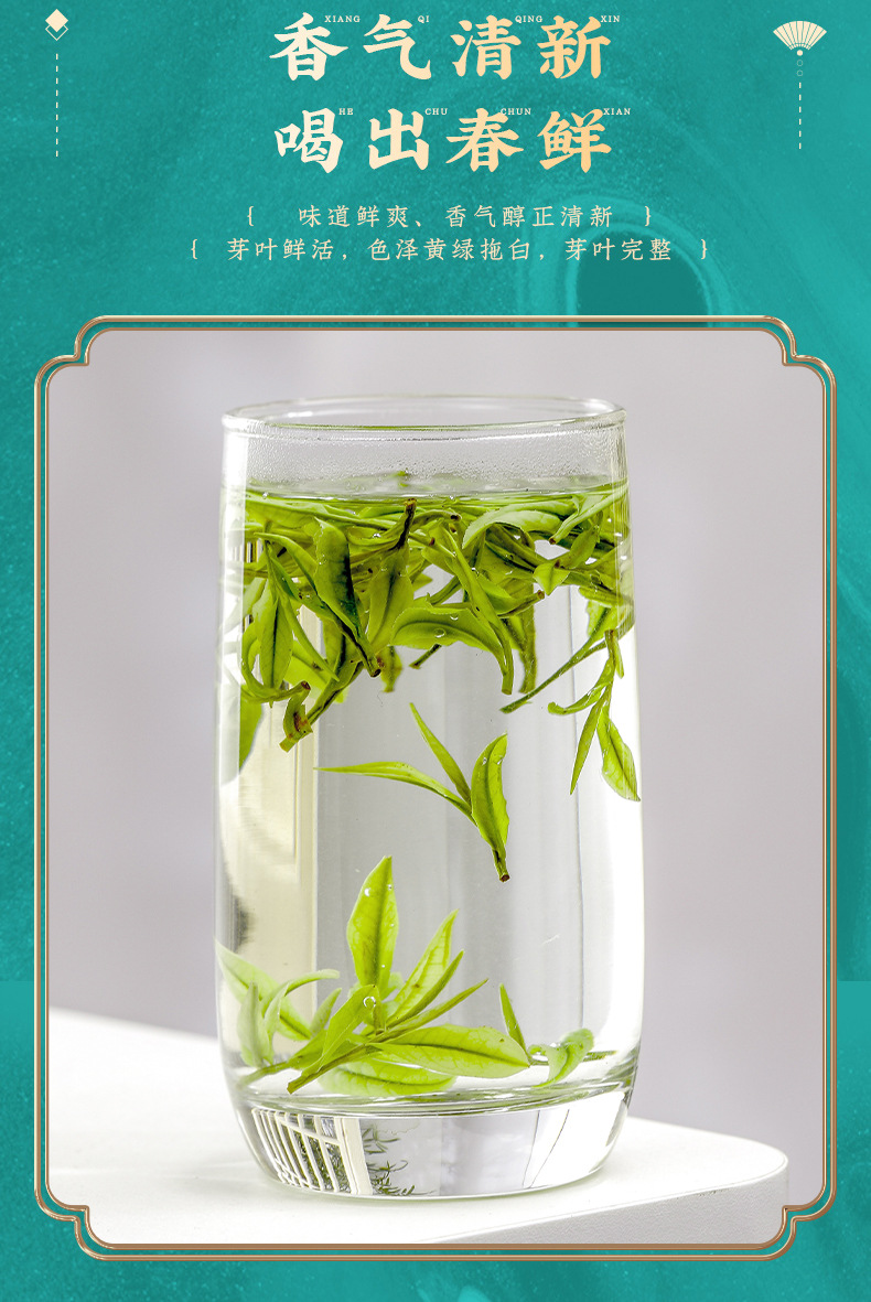 正宗安吉特产珍稀白茶2022年新茶明前白茶茶叶礼盒装绿茶500g散装
