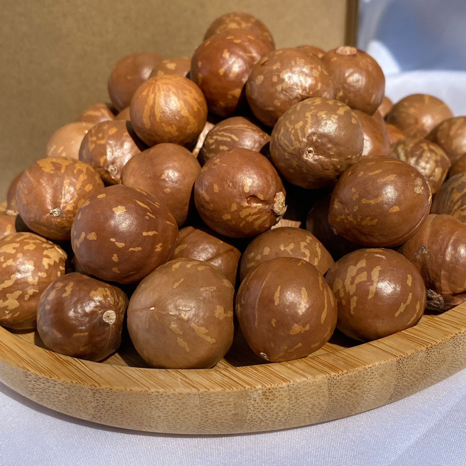 云南澳洲坚果 原味未开口夏威夷果奶香 孕妇小孩零食批发干货