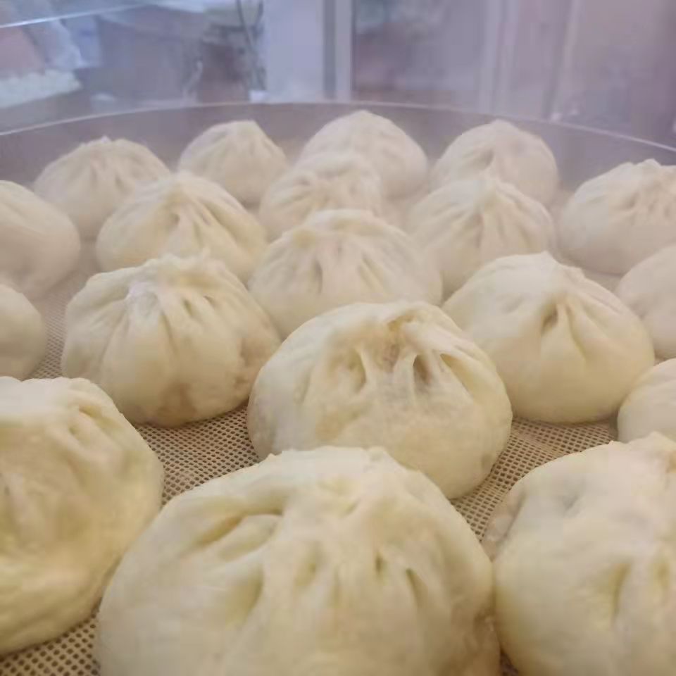 河南特产 纯手工大包子8个牛肉韭菜鸡粉条槐花发酵面馒头早餐速食