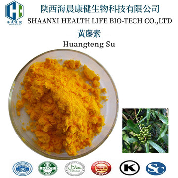 黄藤素98%酸巴马汀棕榈碱3486-67-7黄藤提取物掌叶防已碱海晨康健