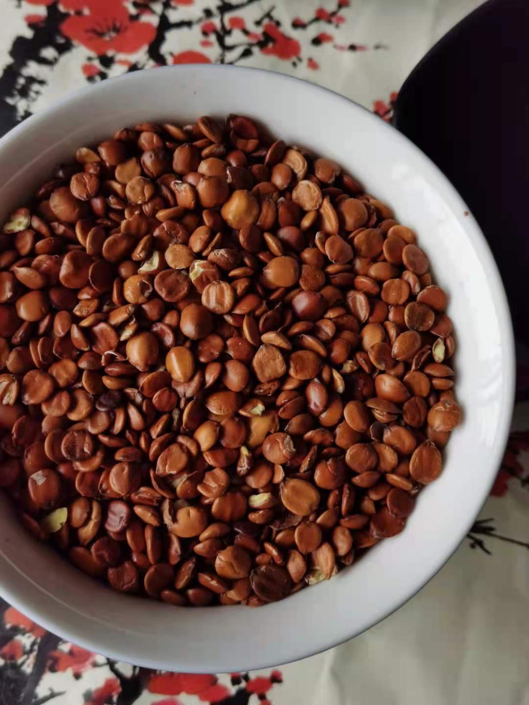 【同稳药材】批发零售【酸枣仁】 理枣仁 生枣仁 炒枣仁 量大从优