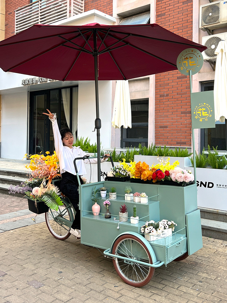 创意促销花车集市摊位售货车网红活动摆摊鲜花车花架移动地摊车-阿里