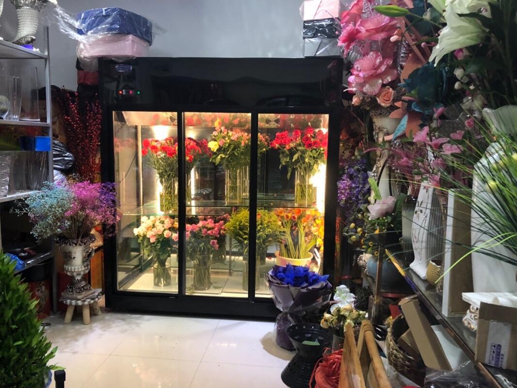 双门三门鲜花保鲜柜花店专用花束保鲜柜批发商用鲜花柜保鲜柜全透明