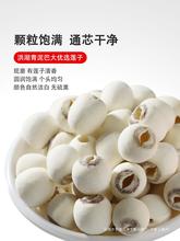 青泥巴莲子干货去芯无硫洪湖白莲子500g湖北荆州特产2024年新莲子