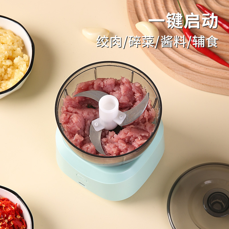 Household Electric Small Meat Grinder