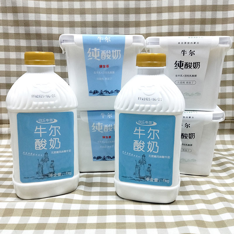 4斤内蒙古牛尔无蔗糖益生菌酸奶水果捞伴侣酸奶