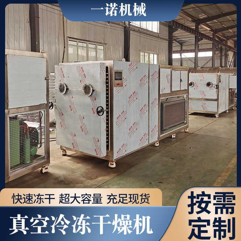 果蔬冻干机低温枇杷叶 人参山参真空冻干设备芦根冷冻式干燥机推荐