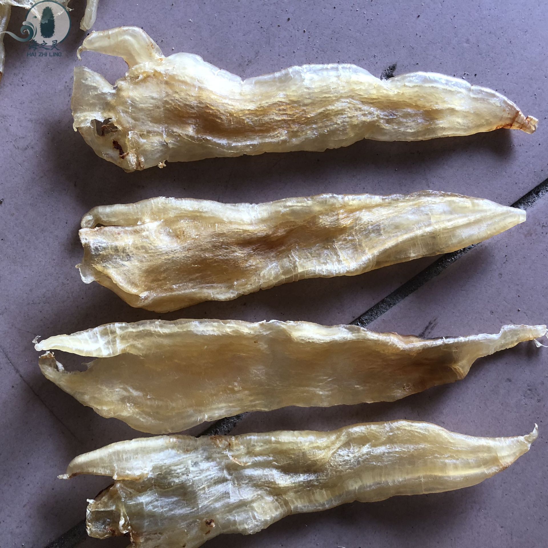 批发清水阴阳胶北海鳘鱼胶阴阳肚花胶鱼胶足干a货巴西阴阳胶 45头