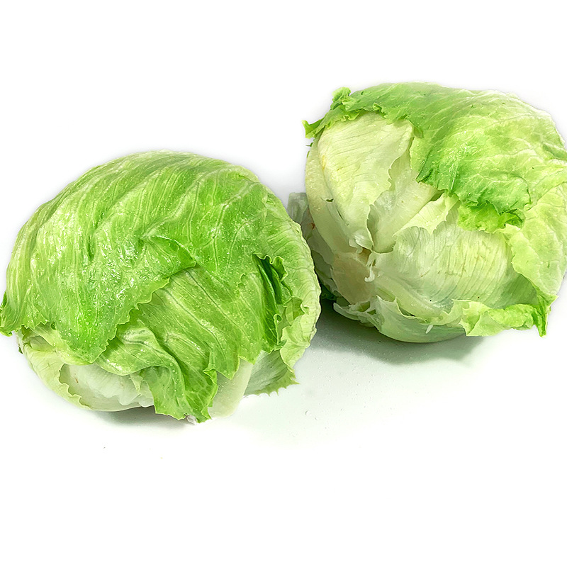 球生菜20斤 新鲜蔬菜沙拉食材西餐汉堡用圆生菜球型西生菜包邮