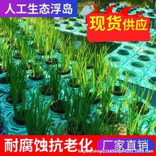 水生植物种植浮床人工绿化浮岛蔬菜造景环保净化水质新型河道水面