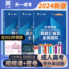 政治英语大学语文试卷2024天一成人高考专升本中国言实出版社正版