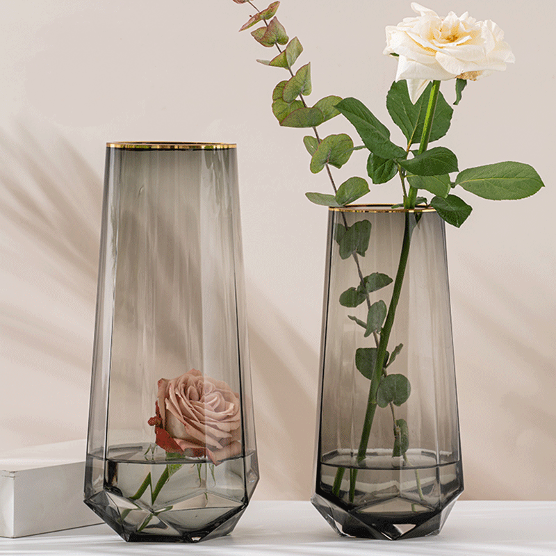 花瓶摆件客厅插花玻璃瓶小北欧透明简约轻奢水养鲜花富贵竹百合花