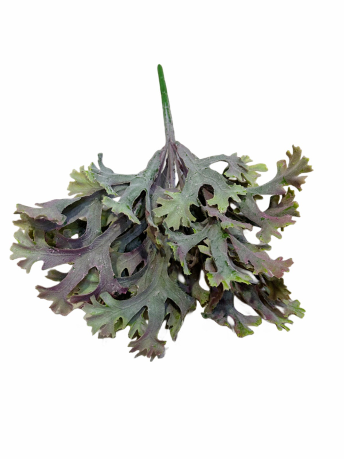 仿真热带植物鹿角草装饰植绒绿植软装工程造景摆放花艺插花配草