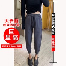 欧货七分灰色运动裤女春夏季束脚小个子八分奶奶裤宽松哈伦休闲裤