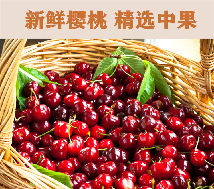 【草帽哥-樱桃果干】新鲜晾晒樱桃干无核樱桃 非干108