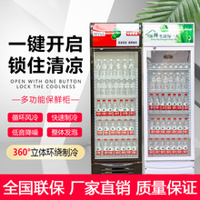 超市冰柜饮料展示柜冷藏保鲜柜啤酒柜商用双开门冷柜单门立式冰箱