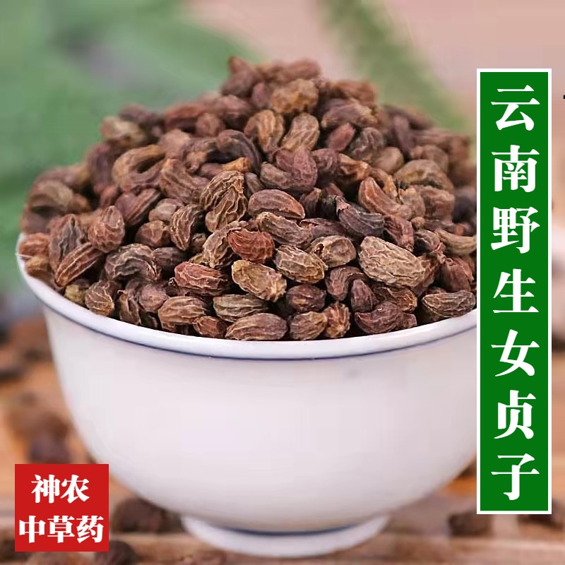 云南中草药野生女贞子500g中药材成熟饱满冬青籽泡水喝天然无硫熏