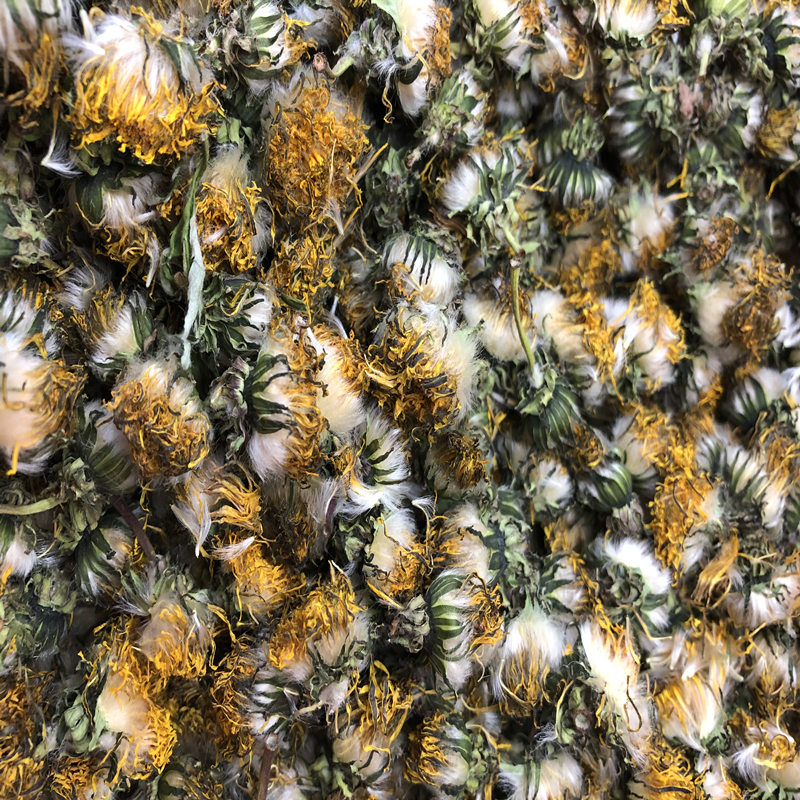 甄选吉林长白山野生足龄蒲公英干花朵蕾晒干新鲜食用花草茶50克礼