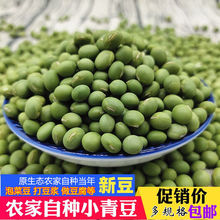 新小青豆250g/5斤包邮农家生干青豆双青豆青黄豆打豆浆豆腐泡菜豆