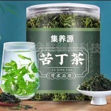 小叶苦丁茶罐装嫩芽小叶苦丁茶源头厂家批发代用茶组合茶批发代发