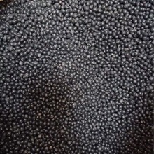 当季新豆 黄芯圆粒黑豆芽  黑豆苗黑豆芽无土栽培芽苗菜不包邮