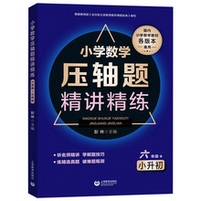 小学数学题精讲精练 六年级+小升初 通用数学必刷题总复习历