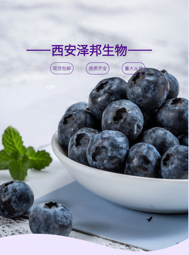 蓝莓粉 蓝莓冻干粉 水果粉 蓝莓果粉 固体饮料 现货包邮