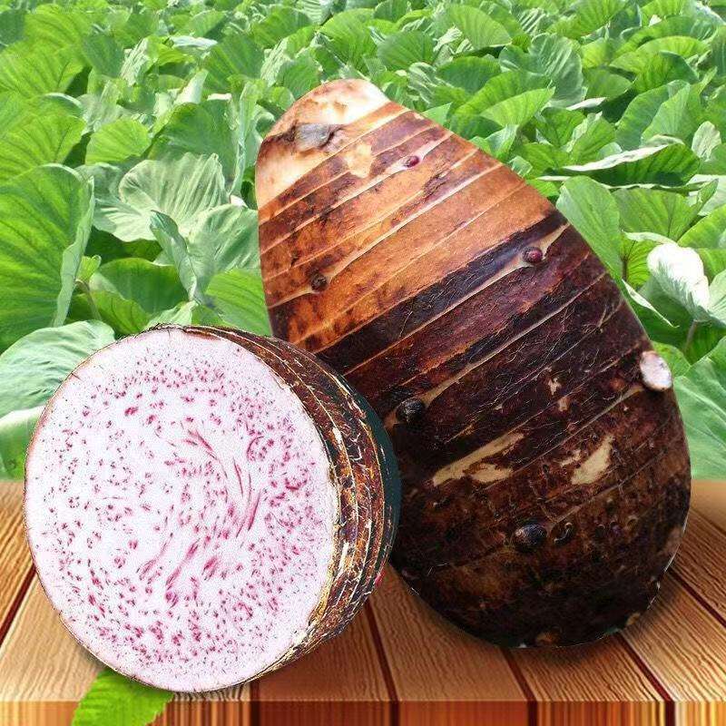 广西荔浦芋头新鲜现挖大芋头粉糯香软槟榔香芋艿紫藤毛芋整箱批发