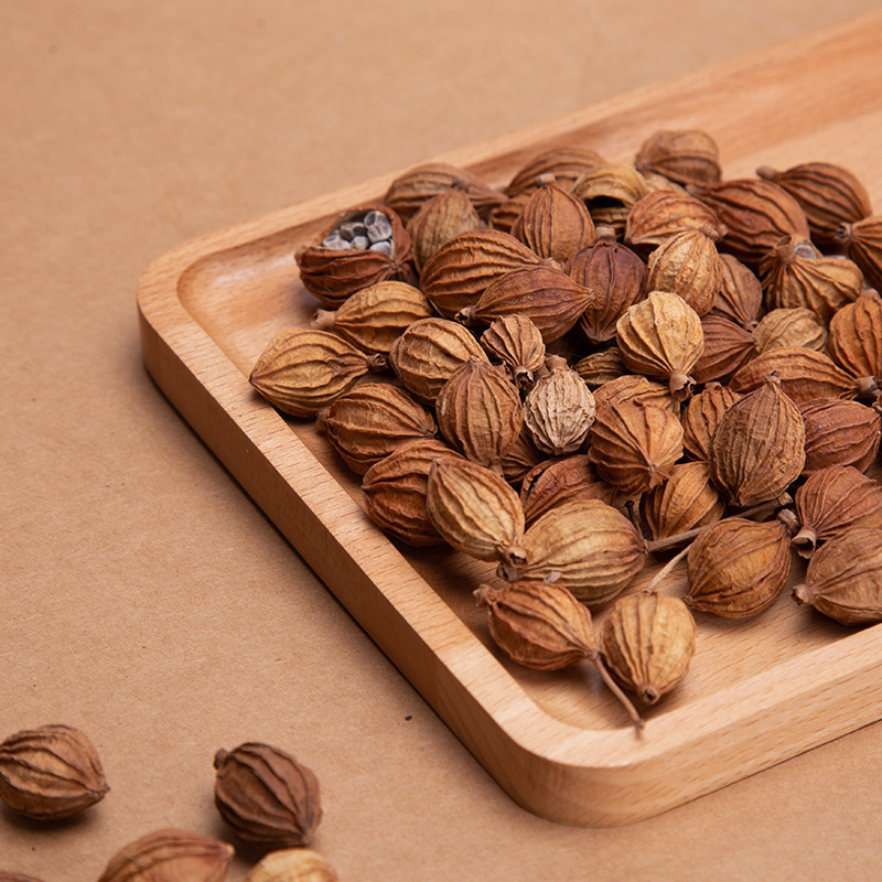 香砂仁调味料香料 香砂仁 草果 新货川菜炖肉卤菜