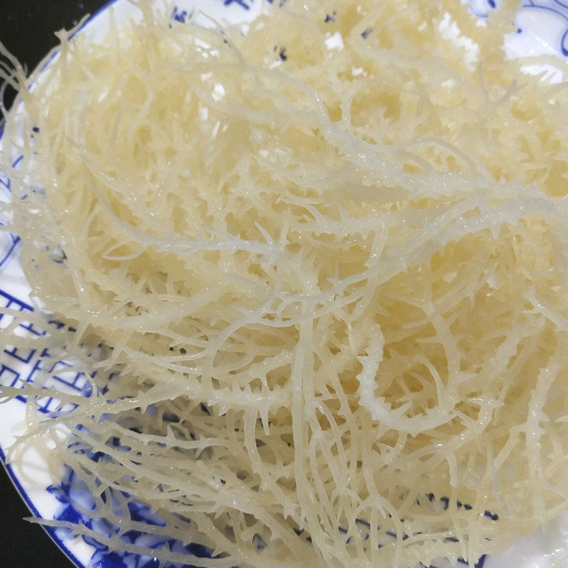 龙须菜新晒鲜海石花新鲜鹿角菜凉拌素食材批发素菜少盐非干货跨境