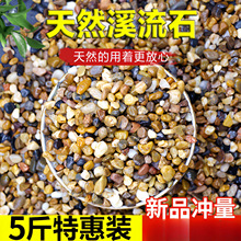 ZZMY28河沙溪流沙鹅卵石原生水族鱼缸水草缸多肉铺面小石子过滤豆