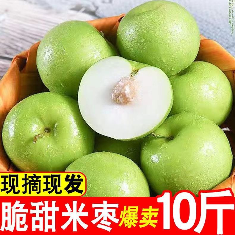 【同款低价】云南珍珠蜜枣牛奶枣青枣贵妃枣新鲜水果批发一整箱