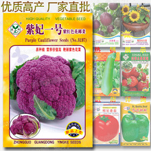 紫妃一号紫红色花椰菜种籽 约100粒 紫花菜 球花甘蓝 特色花椰菜