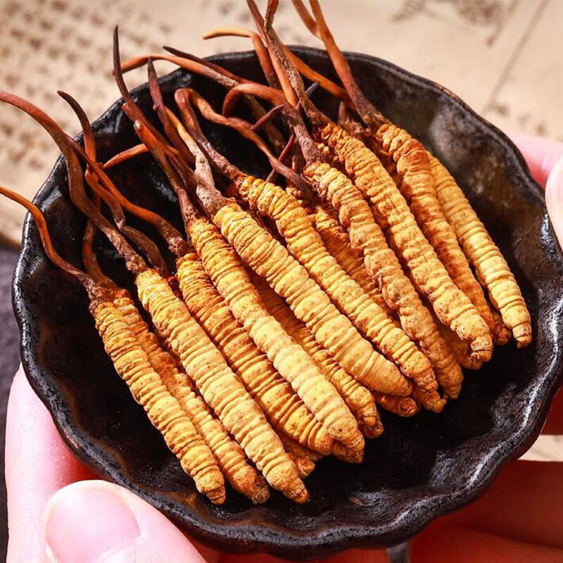 虫体约2cm长;跑量为主,介意的勿拍;正宗西藏那曲冬虫夏草干度好色泽鲜