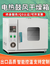 电热恒温鼓风干燥箱高温加热小型工业烤箱烘干机实验室烘箱