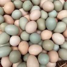 【新店】农家散养土鸡蛋乌鸡蛋绿壳蛋混合装新鲜整箱批发