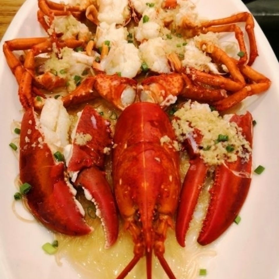 5斤一整只包邮 鲜活速冻波士顿大龙虾 龙虾冰鲜加拿大波龙