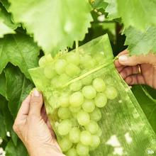 跨境 草莓葡萄水果保护袋防鸟防果蝇花园害虫防治网袋  种植袋