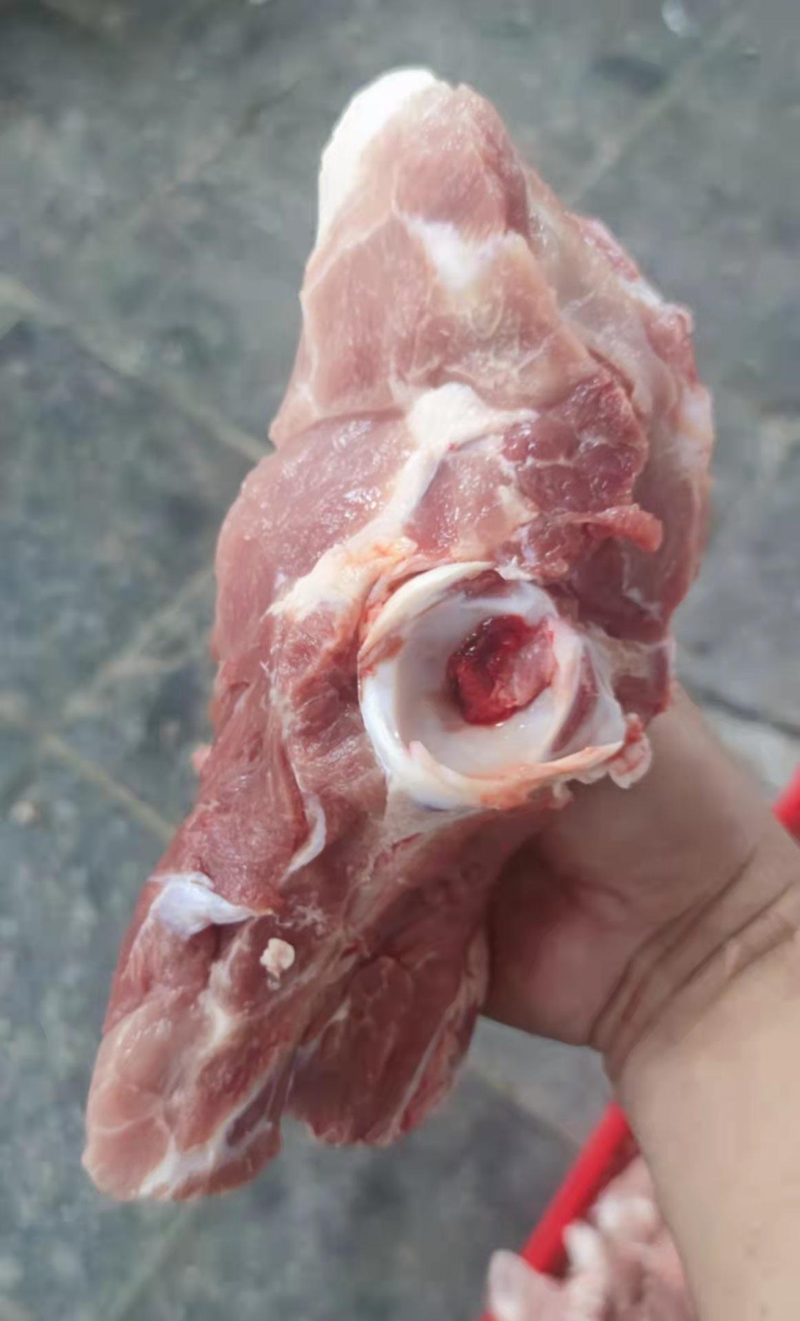 厂家批发肥猪尾叉骨冷冻各种猪副产品