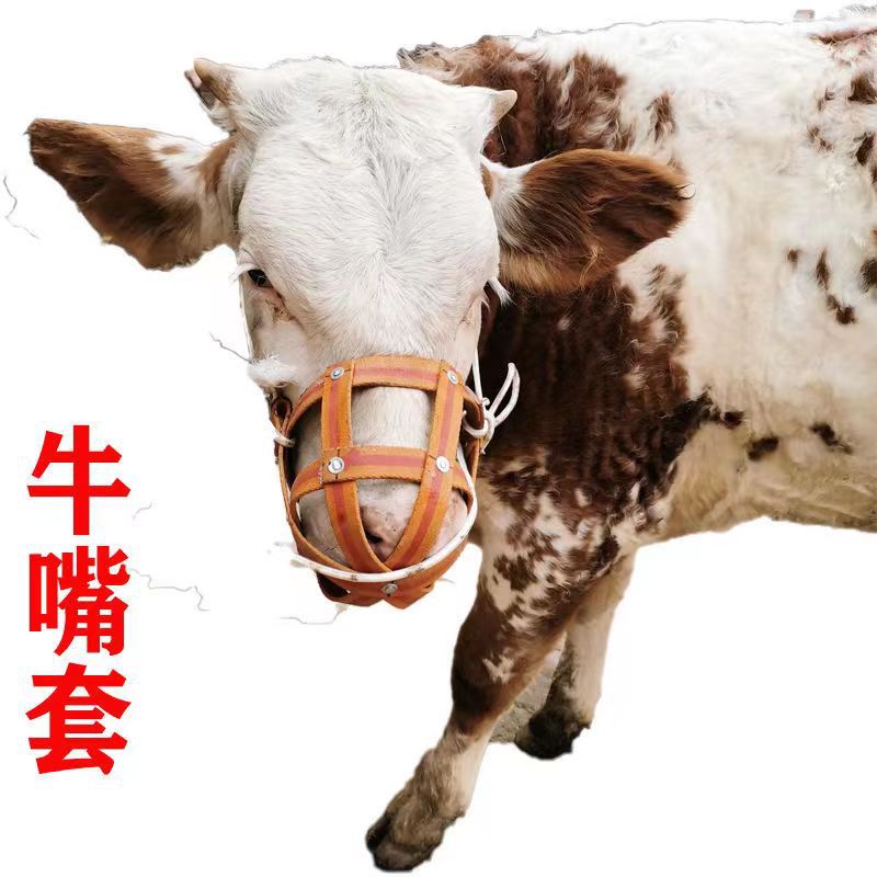 母猪防咬套猪嘴套猪脖套牛马嚼子嘴套猪笼嘴猪嘴笼防咬猪仔