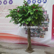 仿真苹果树假果树室内阳台装饰餐厅酒店影楼造景园林背景墙植物树