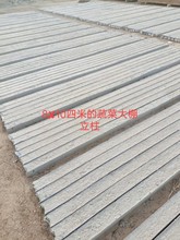 北京大棚猕猴桃水泥立柱子，天津80*10*2500葡萄架水泥杆，