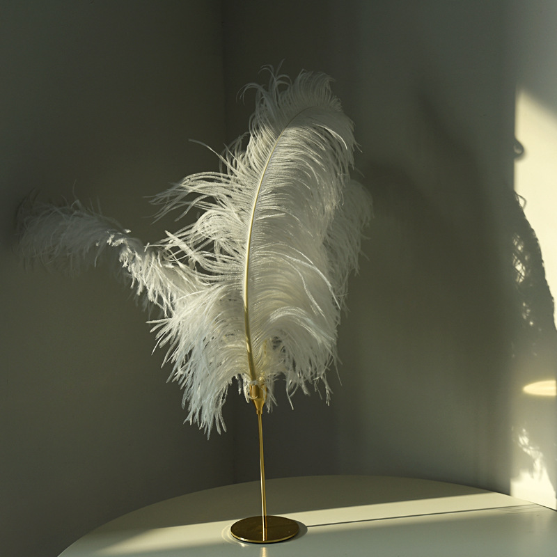 真鸵鸟羽毛网红ins粉色羽毛装饰 拍照道具摆件白色大羽毛摄影背景