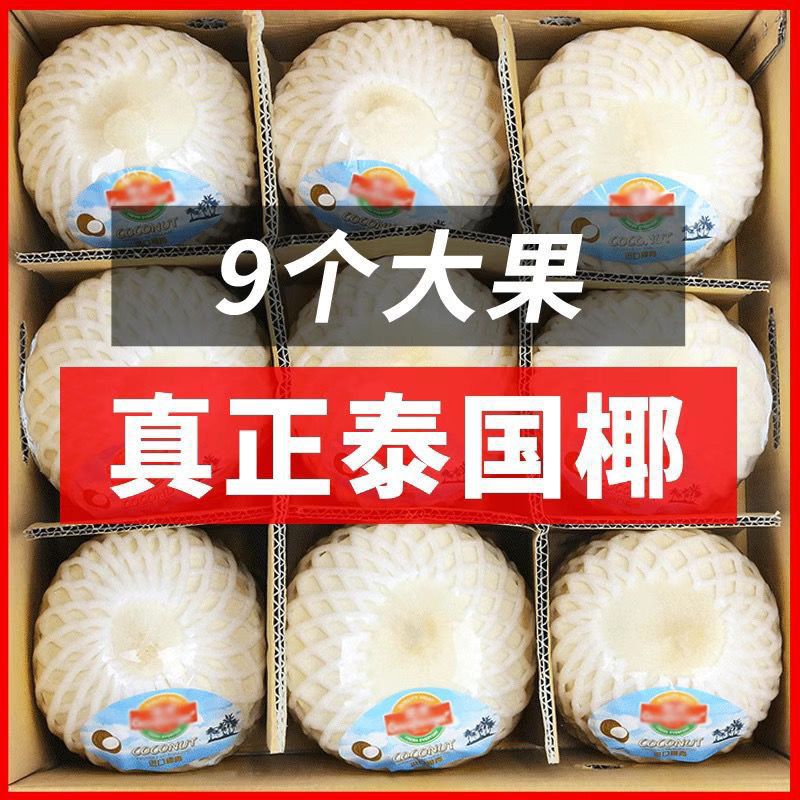 泰国椰青9粒大果单果900克大果整箱香水椰青新鲜椰子-阿里巴巴