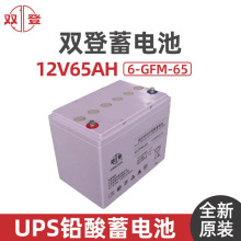 双登蓄电池6-GFM-65 12V65AH 消防应急灯 通信电源机房基站电池