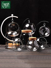 苔藓多肉植物微景观圆生态玻璃瓶子 吊瓶花盆栽DIY材料透明球容器